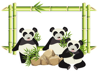 Border template with cute panda and bamboo