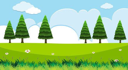 Background scene with pine trees in field