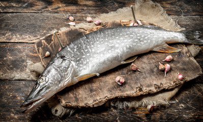 Fresh unprepared pike on a cutting board.