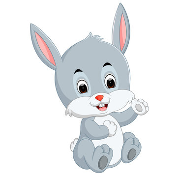 Cute baby rabbit cartoon
