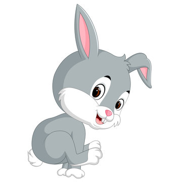 Cute baby rabbit cartoon
