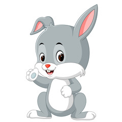 Obraz na płótnie Canvas Cute rabbit cartoon