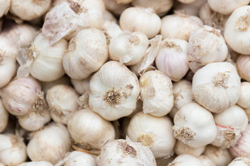 Pile of garlic