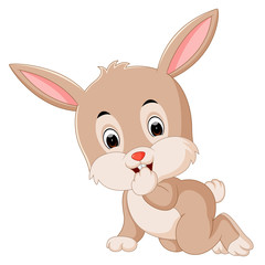 Cute rabbit cartoon