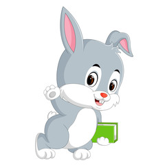 Rabbit cartoon holding book