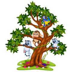 cute baby animal on the tree