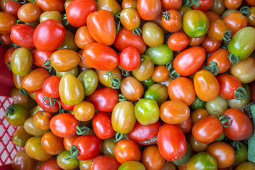 Fresh tomatoes, thailand