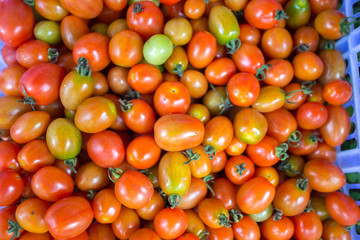 Fresh tomatoes, thailand