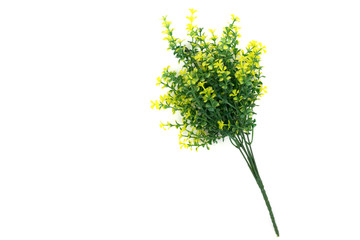 Fake trees on a white wall