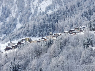 Comesine - Trentino - Italia