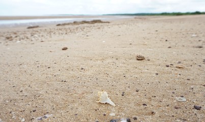 shell beach