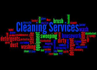 Cleaning Services word cloud concept 3