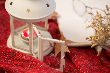 Christmas hat and dried flower. 