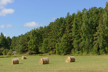Harvesting. Fields and bales of hay. Aland Islands, Finland