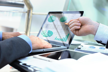 Fototapeta premium Business person analyzing financial statistics displayed on the laptop screen.