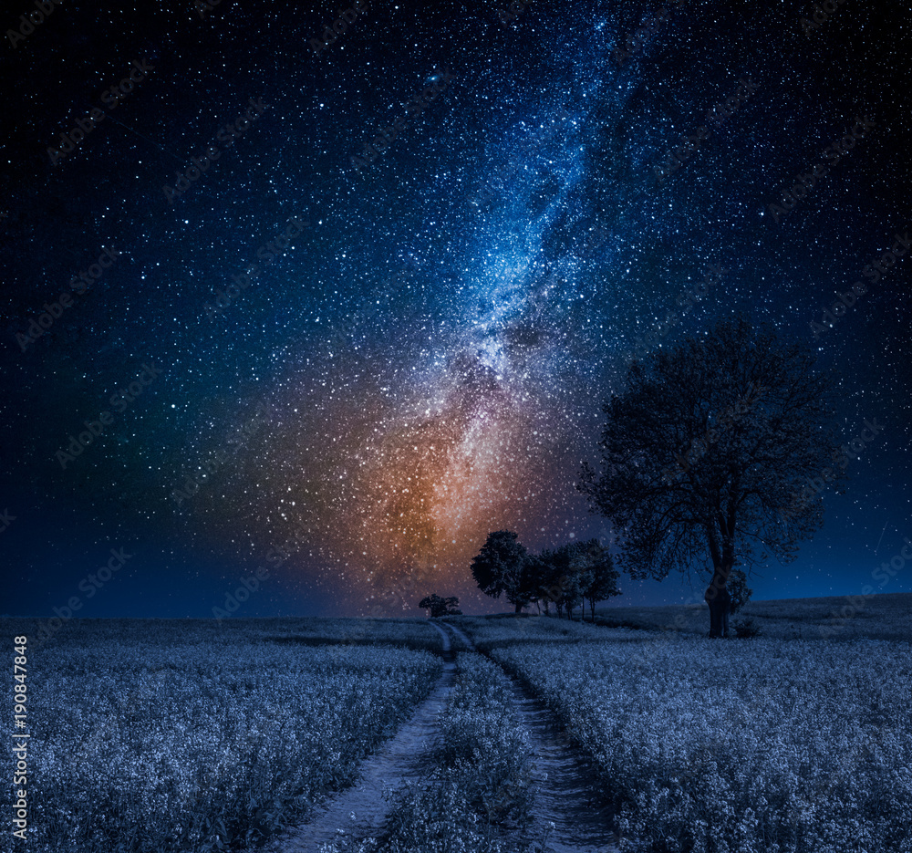 Sticker milky way and field with trees in summer