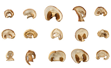 Dried mushrooms for cooking. Photographed close-up. Isolated on white background.