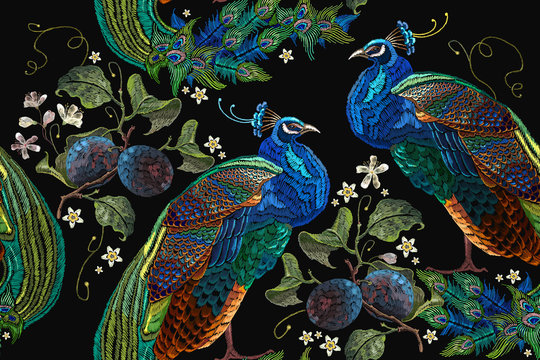 Embroidery peacocks tropical birds and plum branch seamless pattern. Classical fashionable embroidery beautiful peacocks. Fashionable template for design of clothes