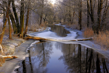 Winter landscape of woods and river covered with ice and snow in Masuria lakes district in Poland - Elk river estuary to Haleckie lake