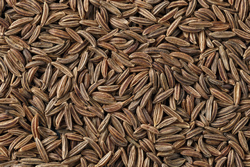 Fennel seeds for cooking. Photographed close-up.