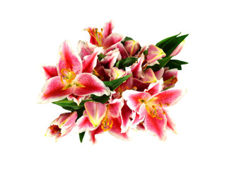 Beautiful bouquet of pink lilies