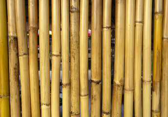 bamboo wall for background