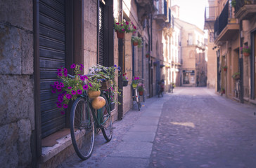Green vintage bicycle with flowers on the basket leaning on a wall in Ciudad Rodrigo, Spain.