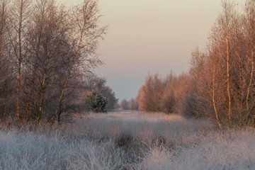 Im Naturpark Bourtanger Moor - Bargerveen