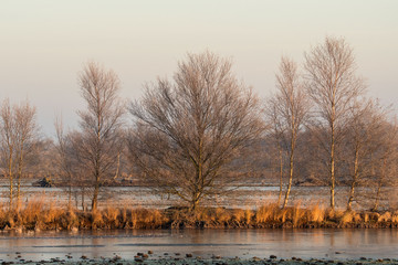 Im Naturpark Bourtanger Moor - Bargerveen