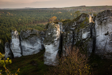 Fototapeta premium Rocks near castle in Mirow on the Jura Krakowsko-Czestochowska, Poland