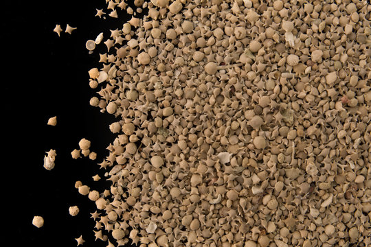 Japanese Taketomi beach star sand closeup on black