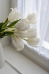 bouquet of white tulips