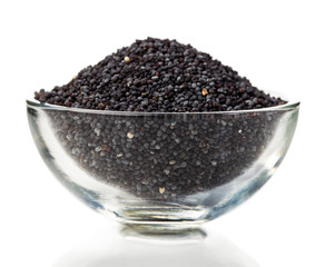Ripe poppy seeds  in glass bowl, isolated on white