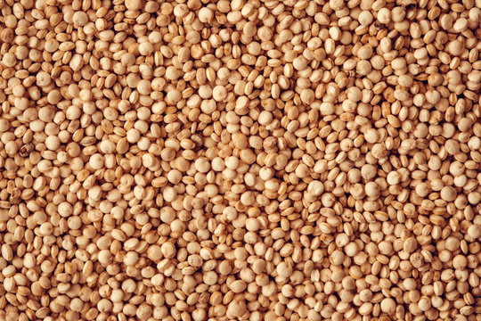 Close up a white  quinoa seeds , gluten free superfoods with high protine , anioxidant and fiber