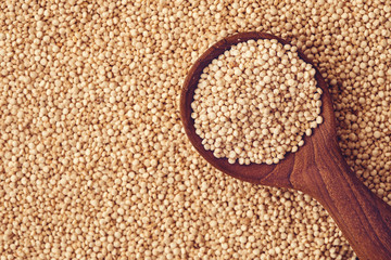 Close up a white  quinoa seeds , gluten free superfoods with high protine , anioxidant and fiber