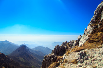 Spring is coming in the valley