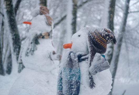 the funny snowman in the snowy forest