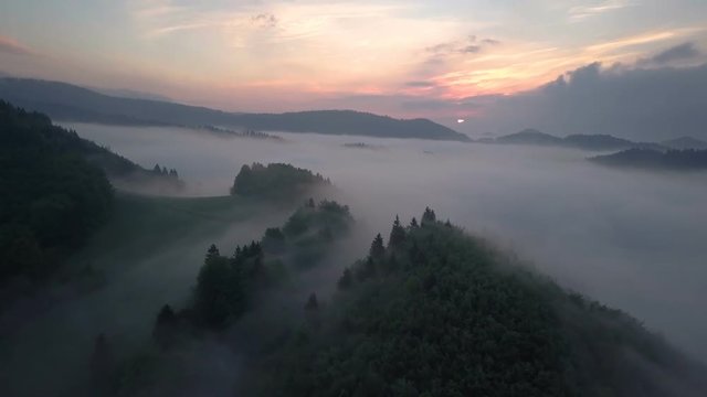 Fly above foggy clouds over forest in morning sunrise
