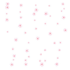 Sakura, Peach Cherry or Apple Flowers Vector Confetti. Elegant Falling Down Spring Romantic Floral Decoration. Magic Wedding Decoration, Realistic Sakura Cherry, Peach or Apple Blossom Background