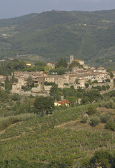 Fototapeta na wymiar Italia, Toscana, Firenze, il castello e borgo di Nipozzano.