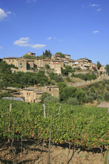 Fototapeta na wymiar Italia, Toscana, il paese di Montefioralle,vicino Greve in Chianti.