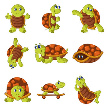 Happy turtle icons set, cartoon style