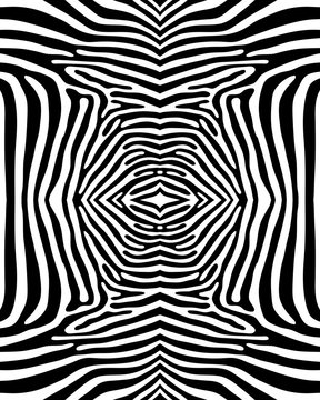 Seamless zebra pattern in black and white, vector