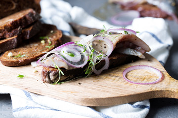Open sandwich with herring with onion with rye bread, horizontal, selective focus