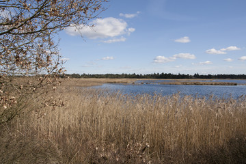 Vogelreservat