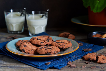 Homemade chocolate chip cookies with chocolate in a plate with milk on a background with a flower in a flower pot. Food background.