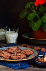 Homemade chocolate chip cookies with chocolate in a plate with milk on a background with a flower in a flower pot. Food background.