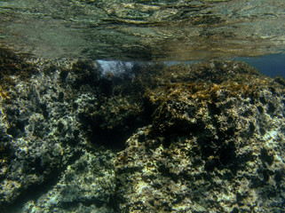 Underwater landcape in Hvar croatia