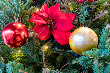 Close up of Christmas tree decorations