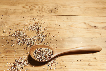 mixed quinoa seeds on spoon made of wood